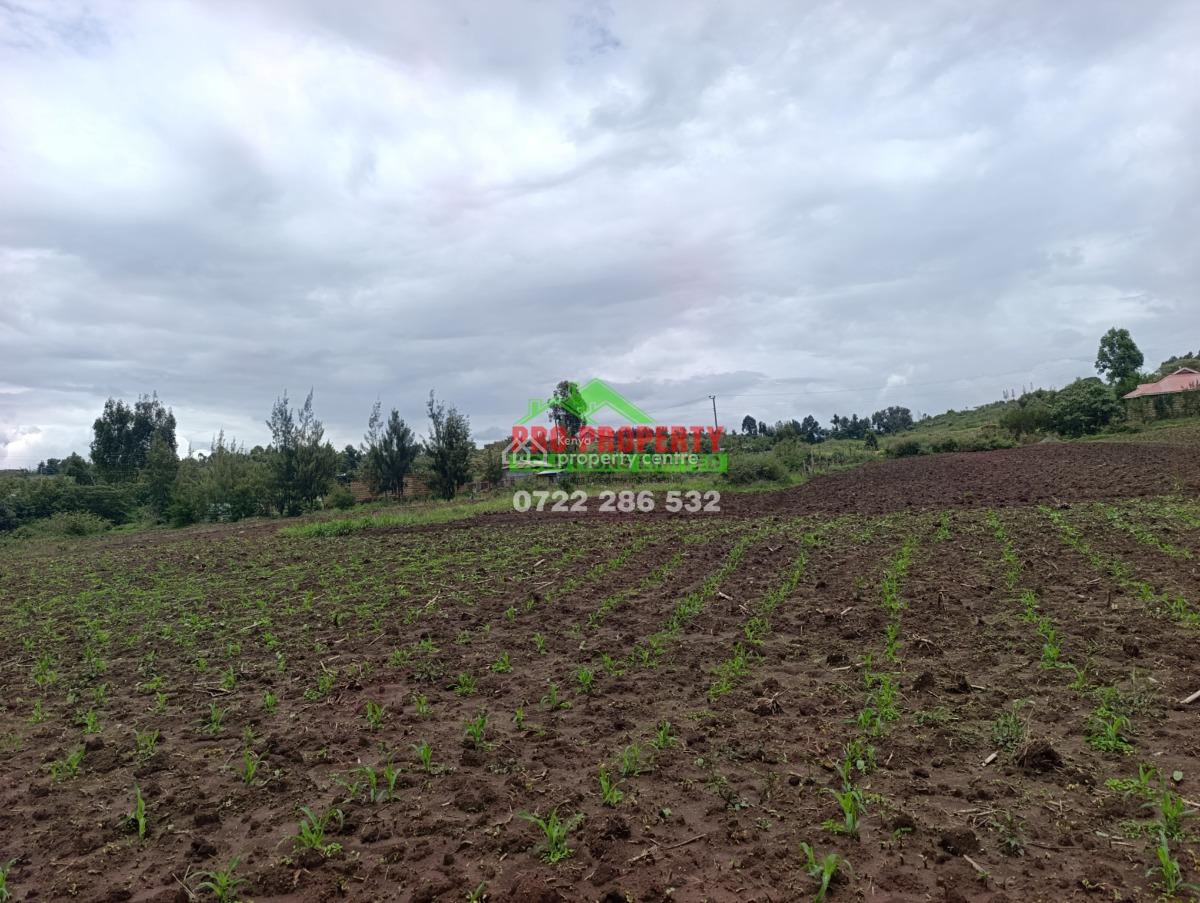 Kikuyu Kamangu Affordable Plots, Kamangu, Ndiguini, Kikuyu, Kiambu, Residential Land for Sale