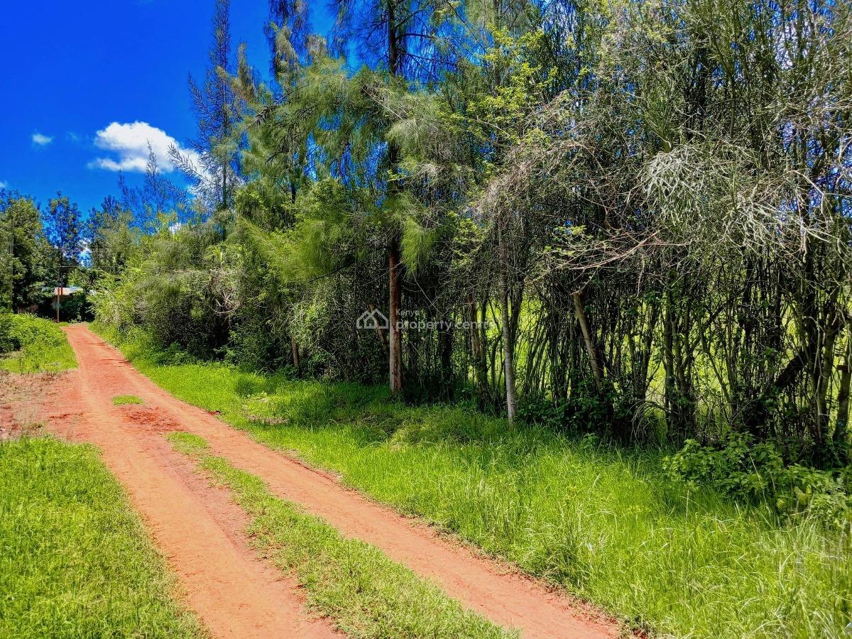 Mugutha Estate, Ruiru, Mugutha Estate, Ruiru, Ruiru, Kiambu, Commercial Land for Sale