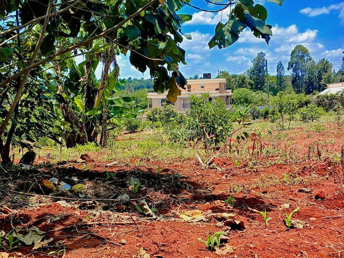 Mugutha Estate, Ruiru, Mugutha Estate, Ruiru, Ruiru, Kiambu, Commercial Land for Sale