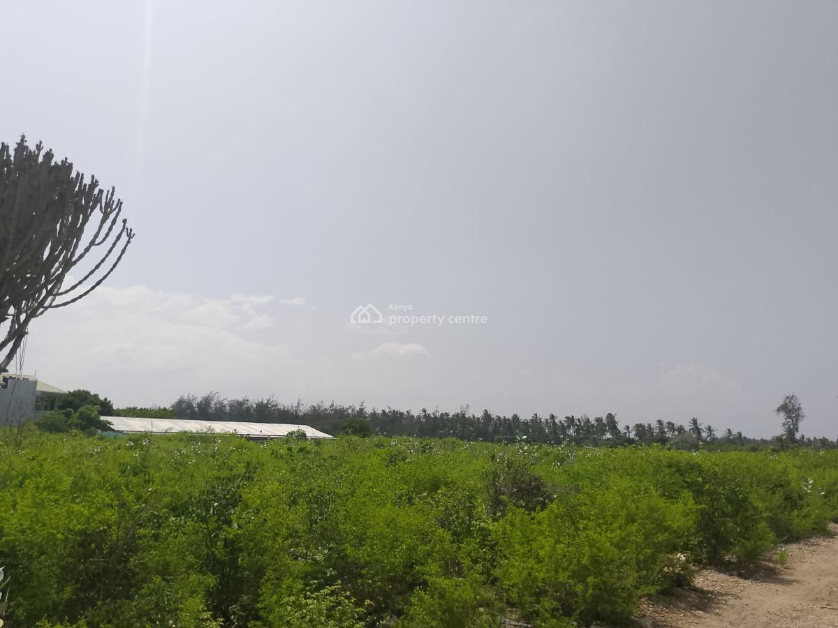 Prime 3-acre Land in Watamu, Jacaranda Road, Watamu, Kilifi, Land for Sale