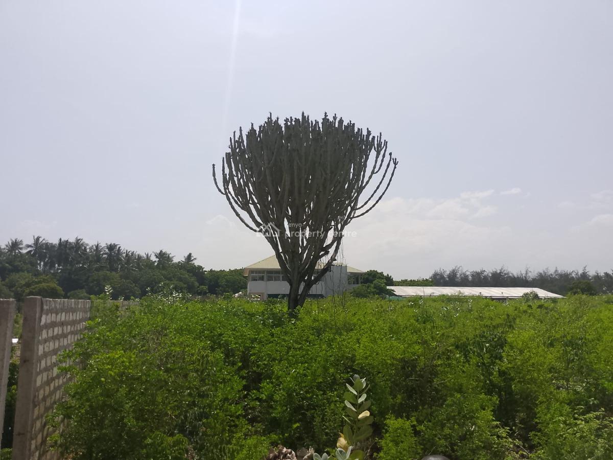 Prime 3-acre Land in Watamu, Jacaranda Road, Watamu, Kilifi, Land for Sale