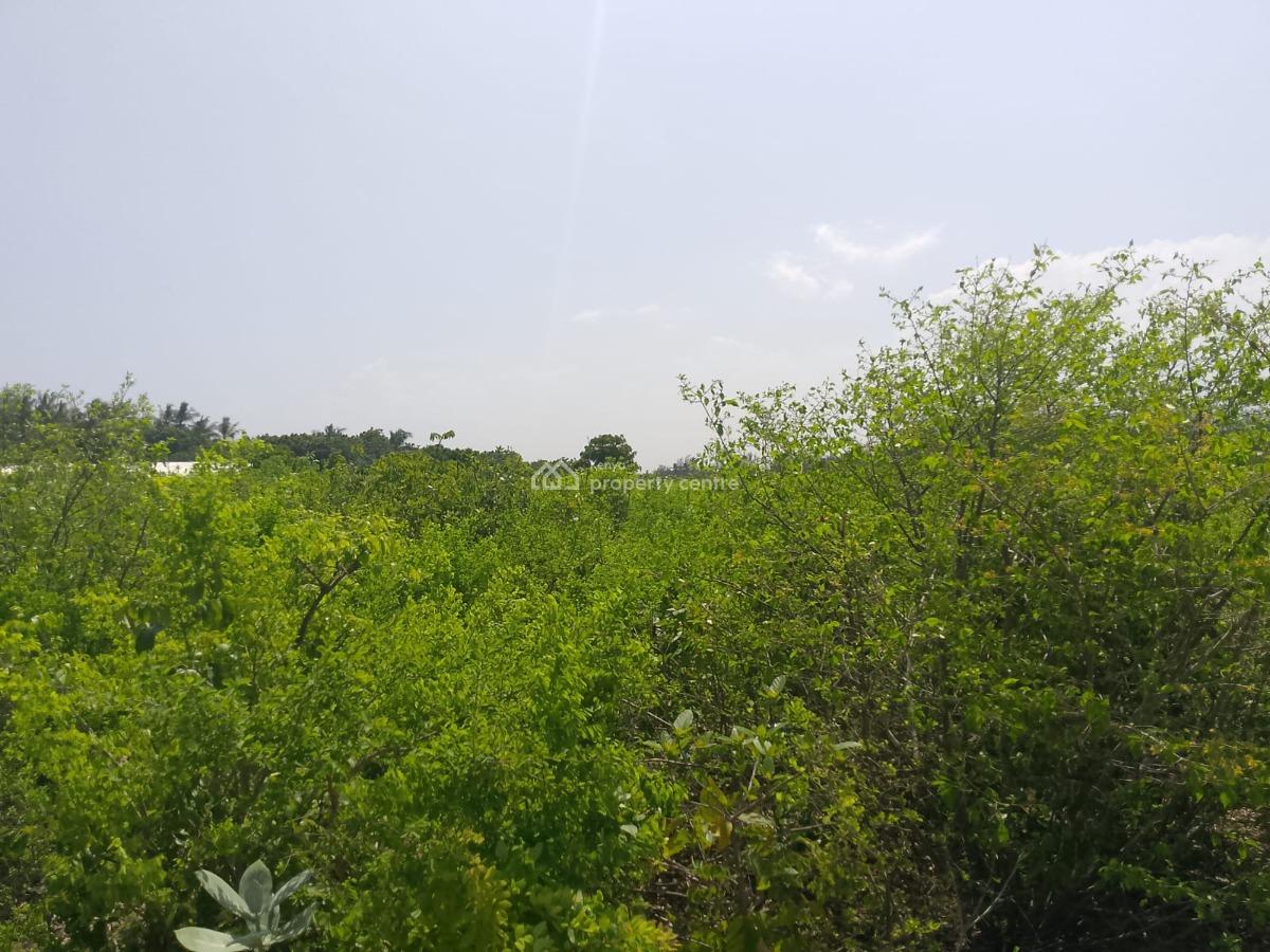Prime 3-acre Land in Watamu, Jacaranda Road, Watamu, Kilifi, Land for Sale