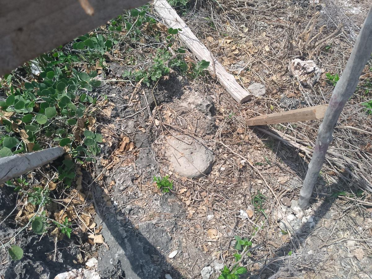 Prime 2-acres Second-row Beach Plot, Kanani Road, Watamu, Kilifi, Land for Sale