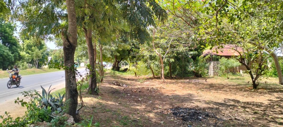 Prime 50×100 Plot, Gede-watamu Road, Watamu, Kilifi, Mixed-use Land for Sale