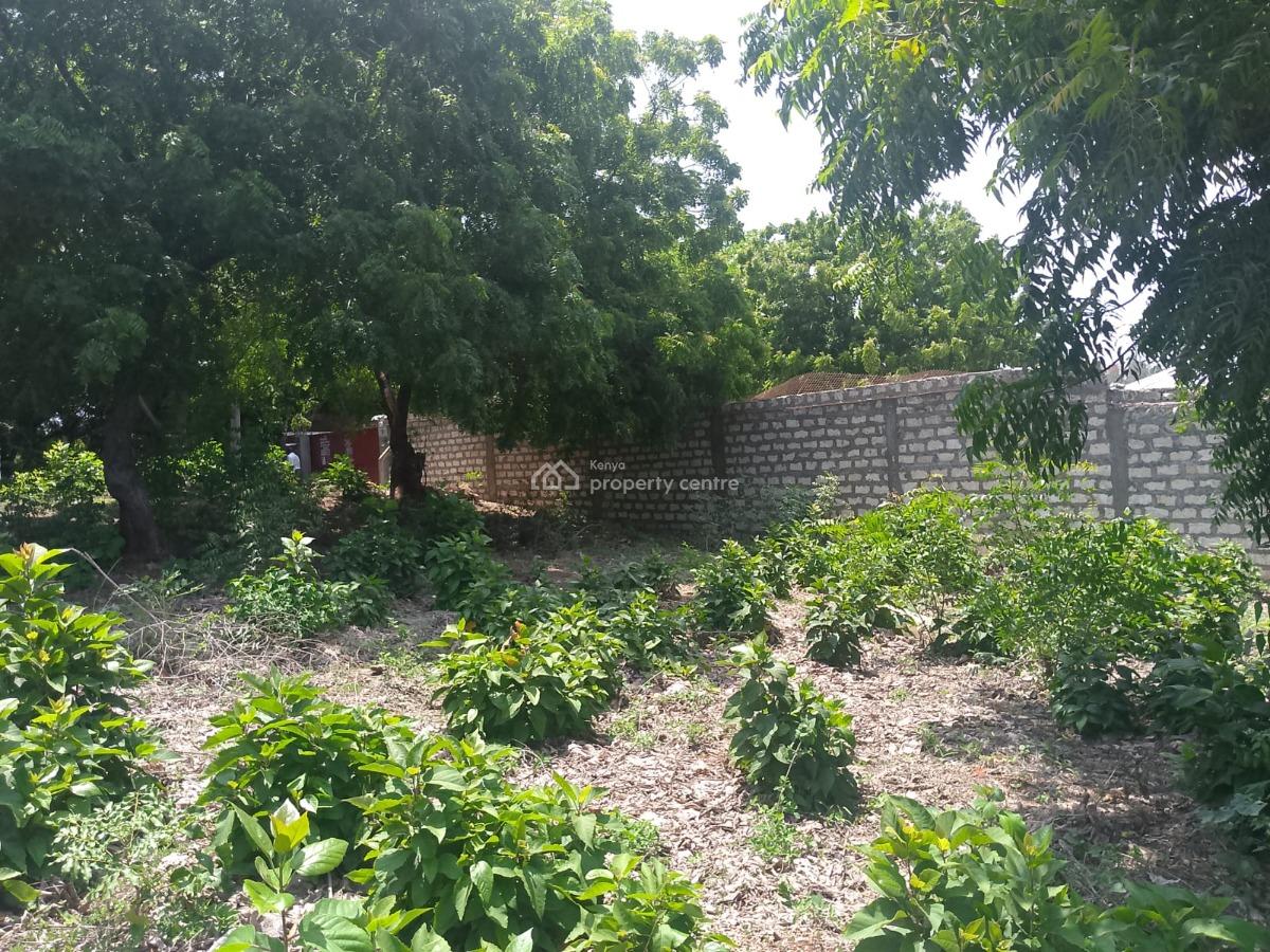 Prime 1-acre Investment Land, Jacaranda Road, Near Pitch & Putt Golf, Watamu, Kilifi, Land for Sale