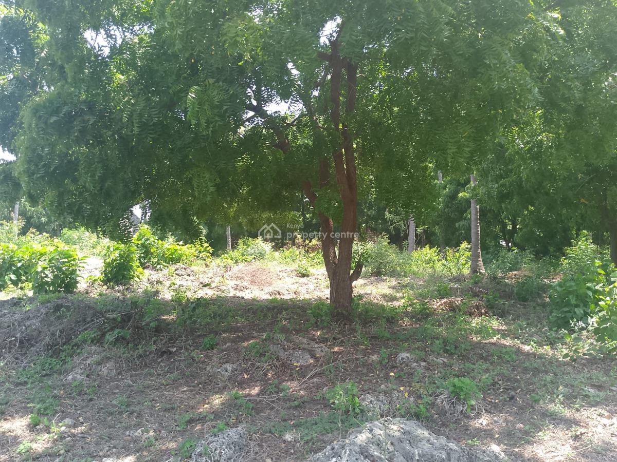 Prime 1-acre Investment Land, Jacaranda Road, Near Pitch & Putt Golf, Watamu, Kilifi, Land for Sale