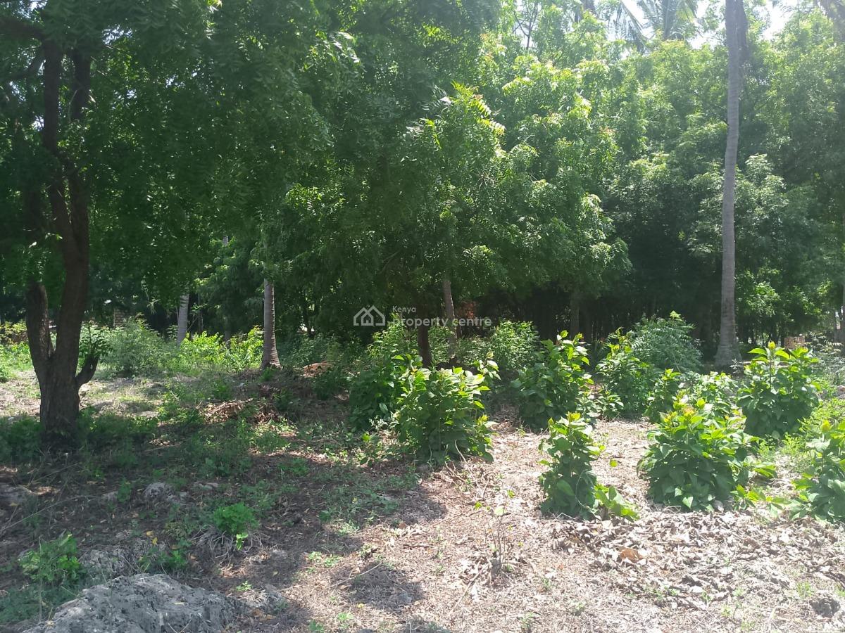 Prime 1-acre Investment Land, Jacaranda Road, Near Pitch & Putt Golf, Watamu, Kilifi, Land for Sale