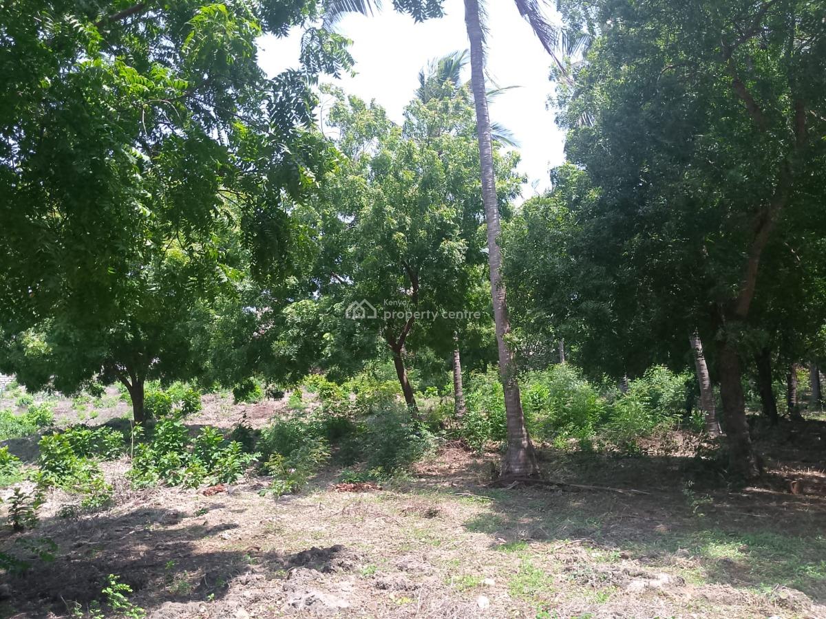 Prime 1-acre Investment Land, Jacaranda Road, Near Pitch & Putt Golf, Watamu, Kilifi, Land for Sale