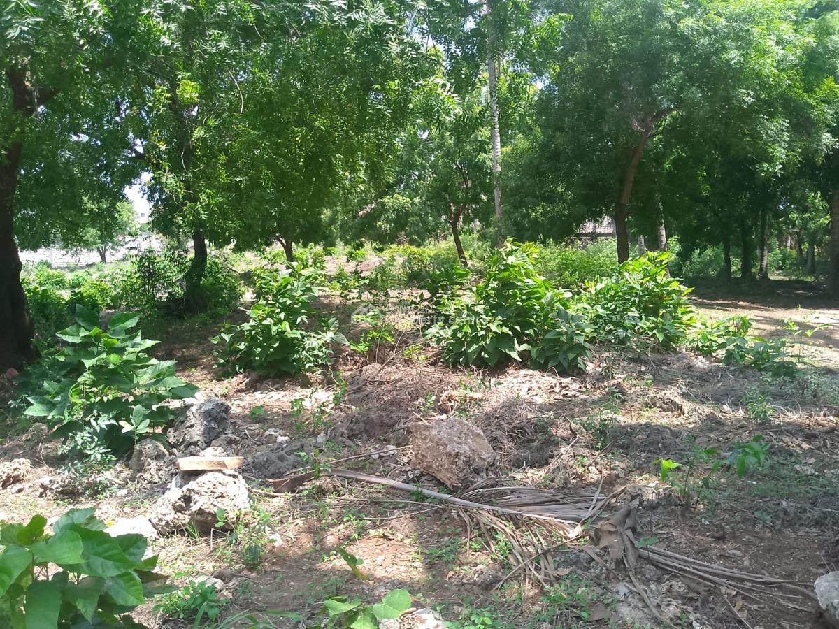 Prime 1-acre Investment Land, Jacaranda Road, Near Pitch & Putt Golf, Watamu, Kilifi, Land for Sale