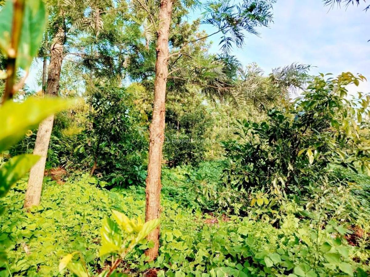 4 Acres  -- Magutu (olenaicho Conservancy), Magutu (olenaicho Conservancy), Nanyuki, Laikipia, Commercial Land for Sale