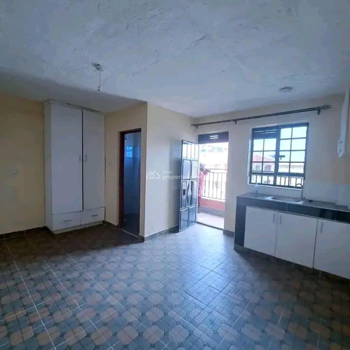Specious Bedsitter, Naivasha Road, Nairobi Central, Nairobi, Apartment for Rent