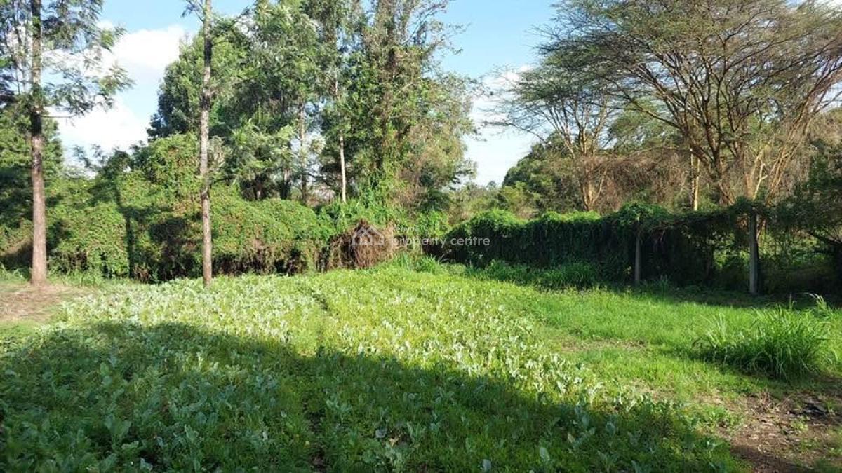 Land, Kabiria Road, Riruta, Nairobi, Land for Sale