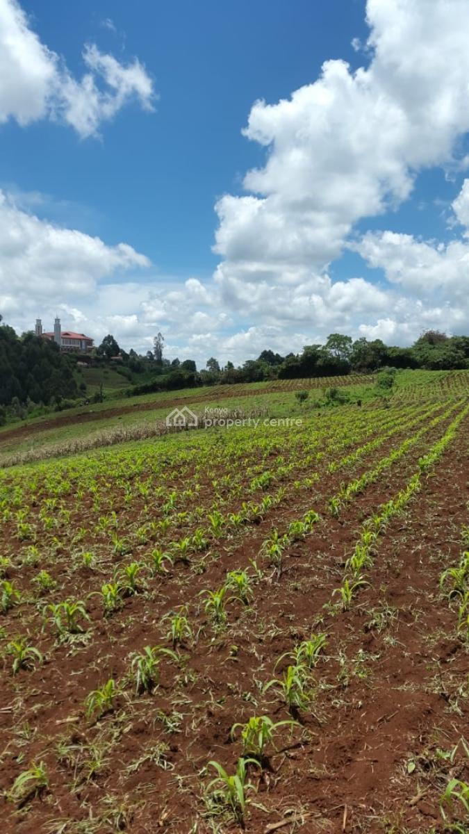 33 Acres of Prime Development Land, Banana-tigoni Road, Banana, Kiambu, Mixed-use Land for Sale