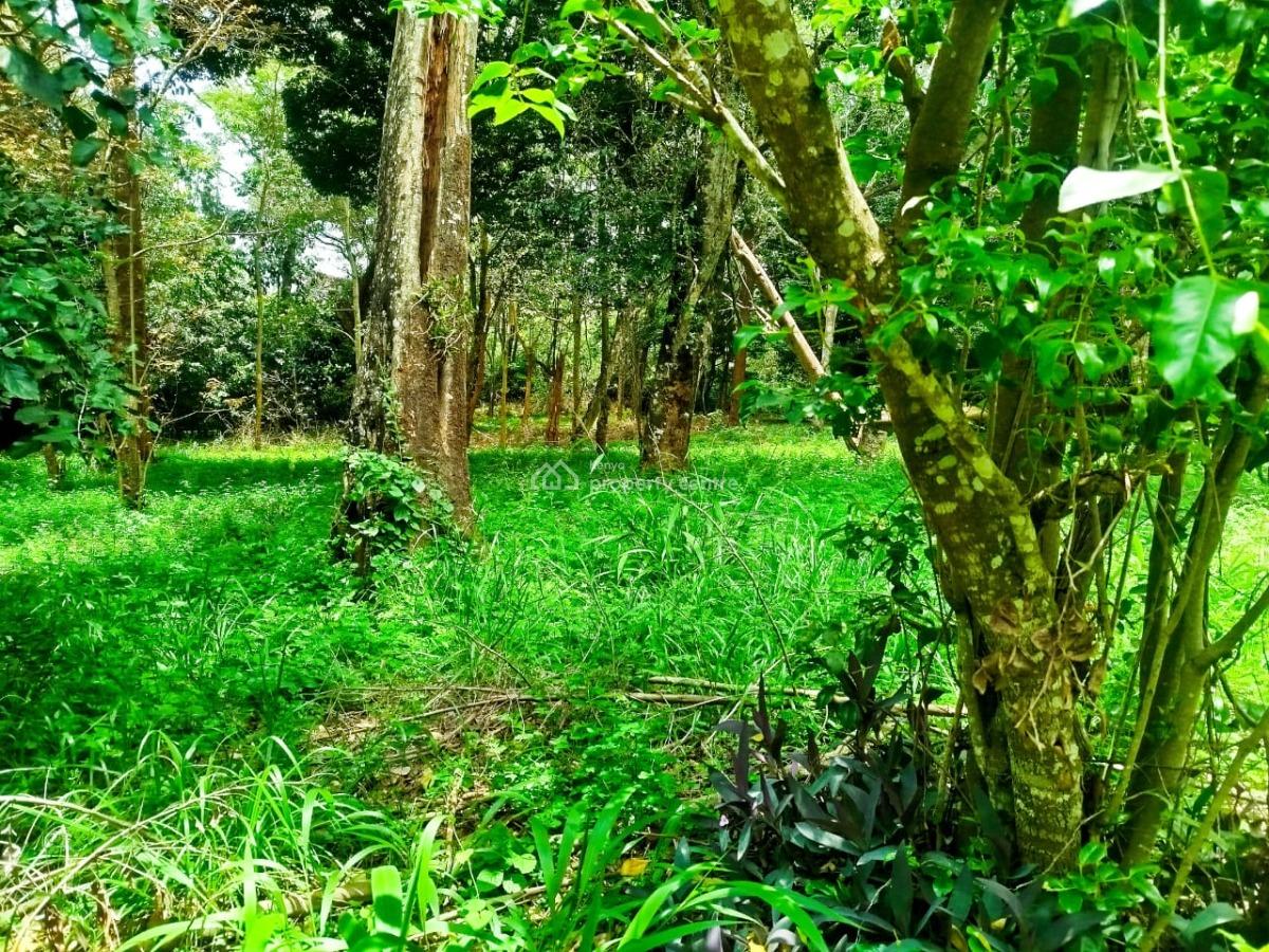 Prime Half Acre Land in Gated Community, Mwitu Road, Karen, Nairobi, Land for Sale