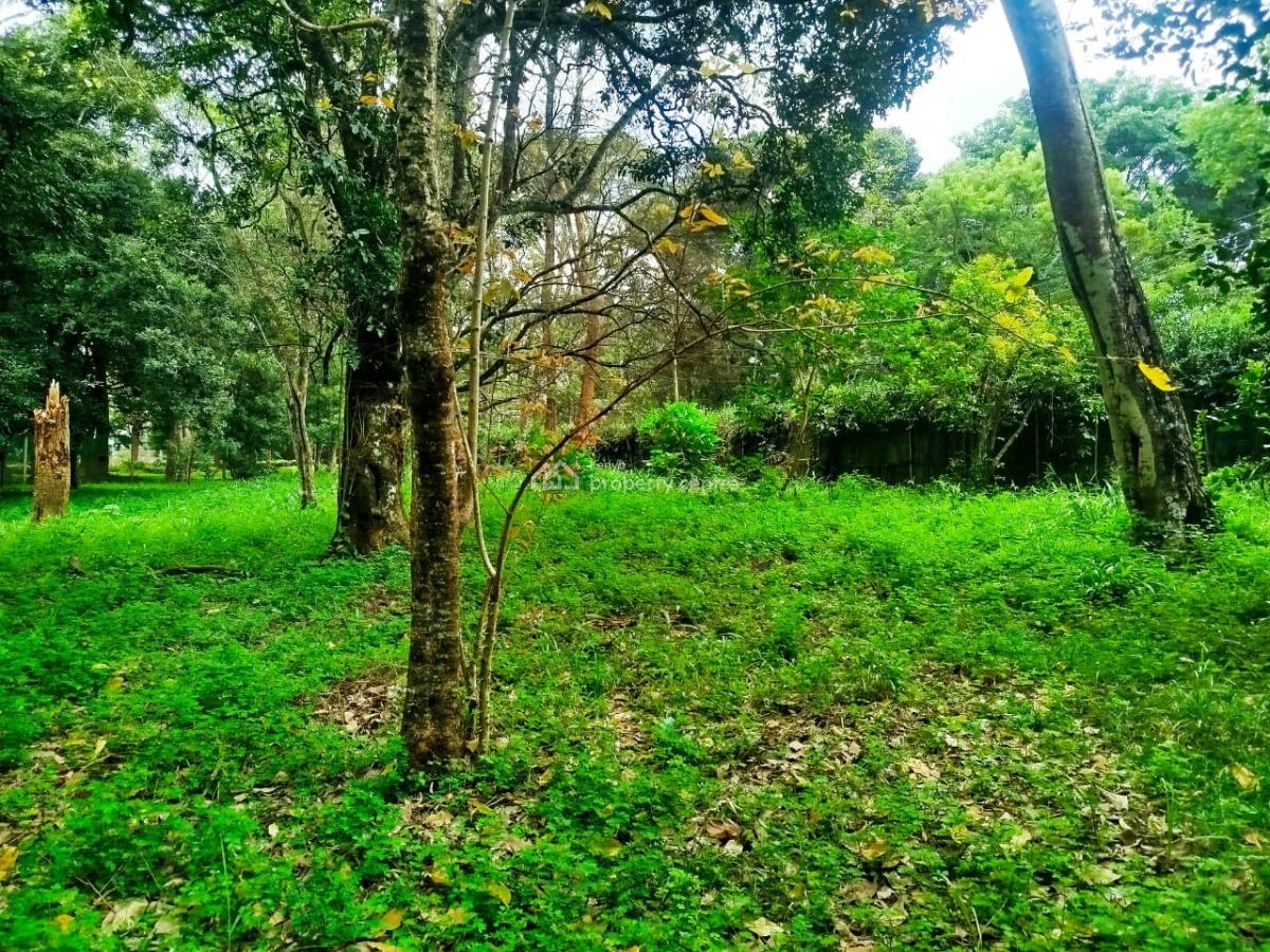 Prime Half Acre Land in Gated Community, Mwitu Road, Karen, Nairobi, Land for Sale