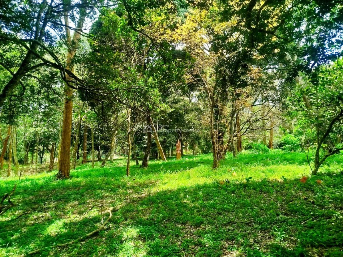 Prime Half Acre Land in Gated Community, Mwitu Road, Karen, Nairobi, Land for Sale