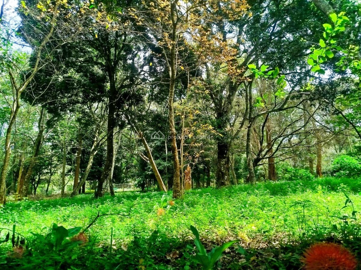 Prime Half Acre Land in Gated Community, Mwitu Road, Karen, Nairobi, Land for Sale