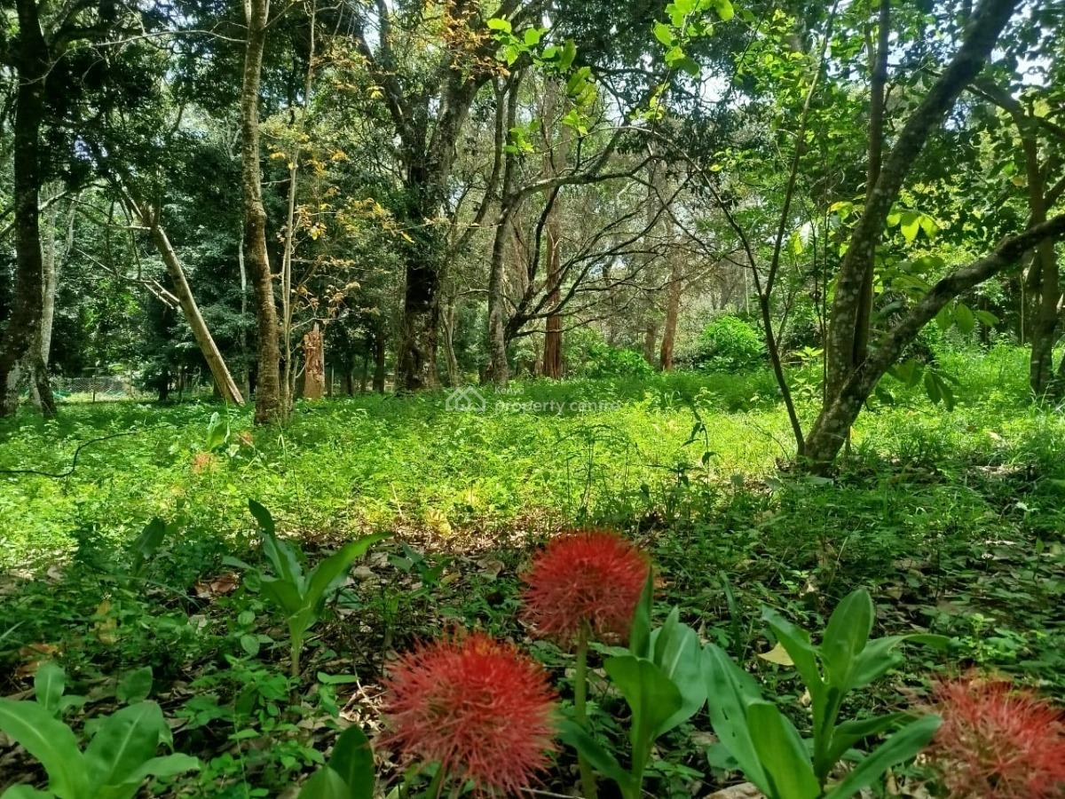 Prime Half Acre Land in Gated Community, Mwitu Road, Karen, Nairobi, Land for Sale