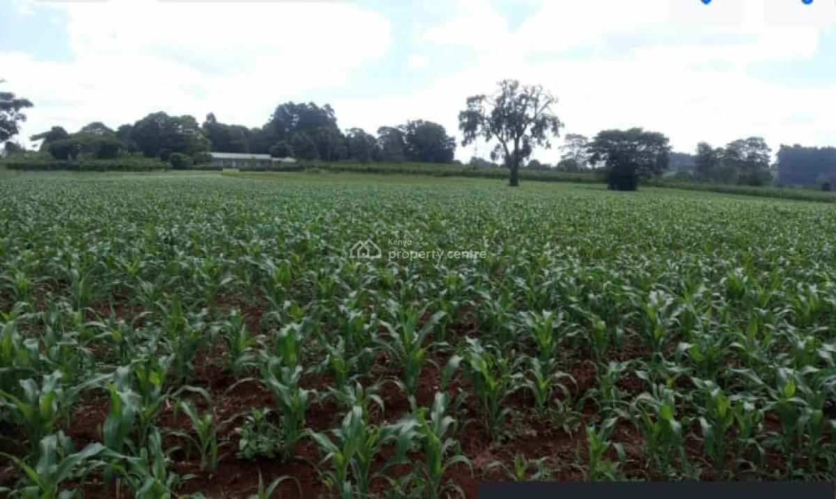 10 Acres in Nazareth, Tigoni, Nazareth Hospital Road, Tigoni, Kiambu, Mixed-use Land for Sale