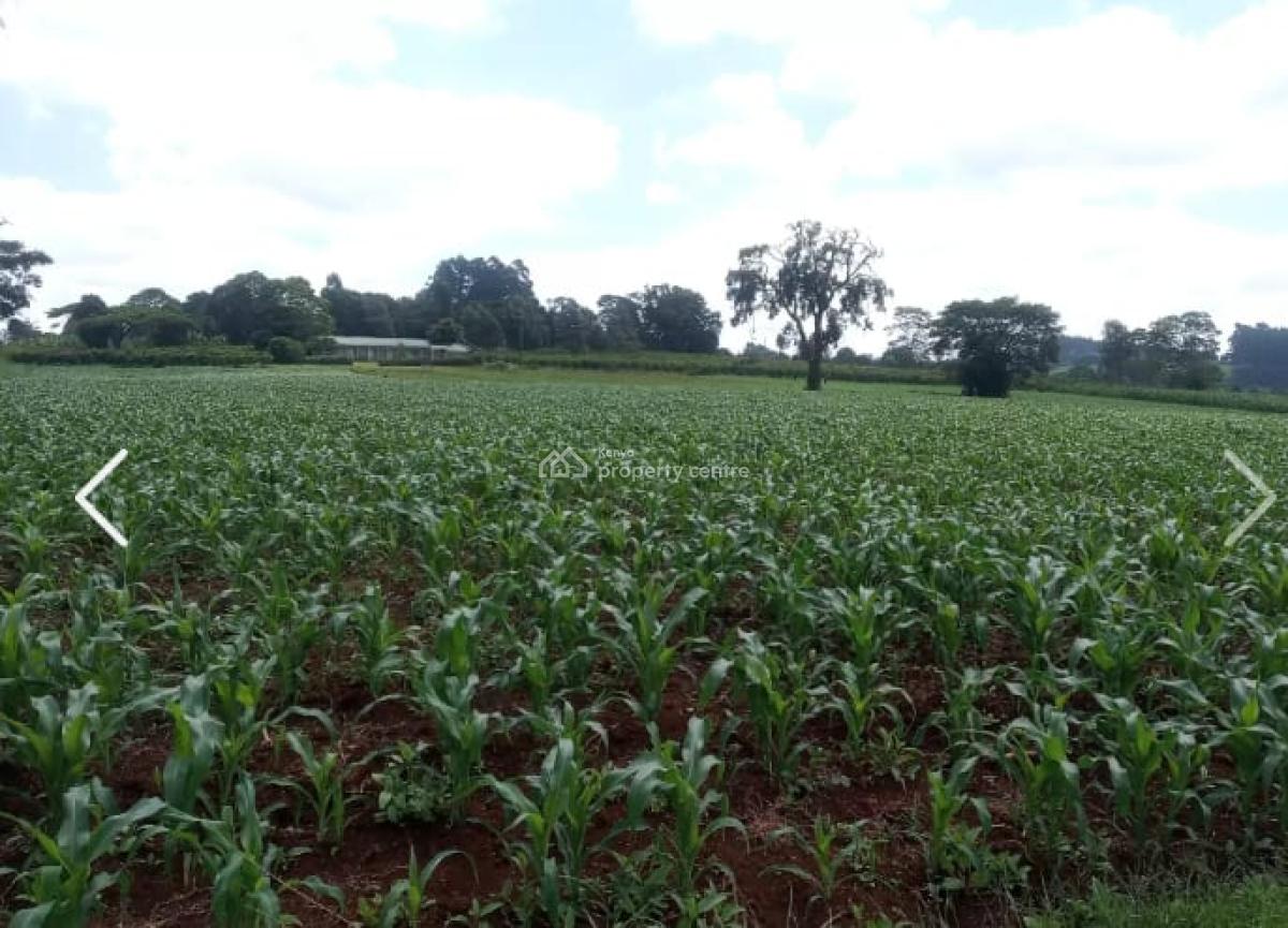 10 Acres in Nazareth, Tigoni, Nazareth Hospital Road, Tigoni, Kiambu, Mixed-use Land for Sale