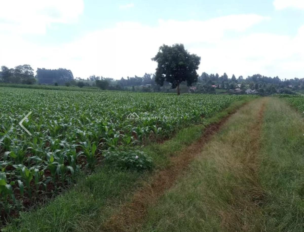 10 Acres in Nazareth, Tigoni, Nazareth Hospital Road, Tigoni, Kiambu, Mixed-use Land for Sale