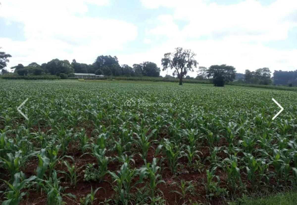 10 Acres in Nazareth, Tigoni, Nazareth Hospital Road, Tigoni, Kiambu, Mixed-use Land for Sale