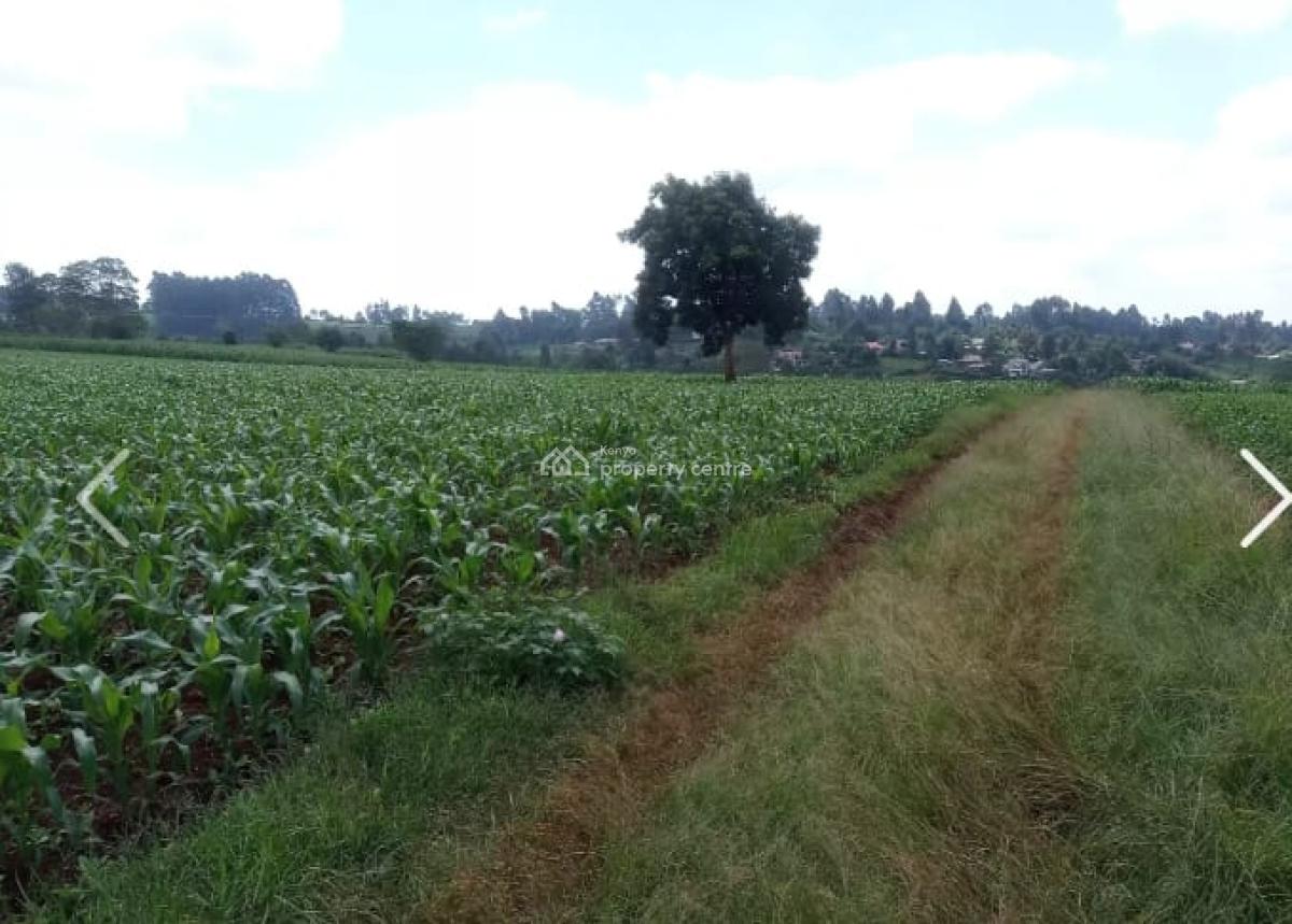 10 Acres in Nazareth, Tigoni, Nazareth Hospital Road, Tigoni, Kiambu, Mixed-use Land for Sale