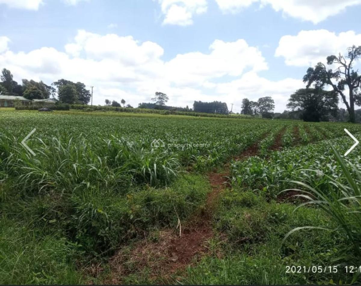 10 Acres in Nazareth, Tigoni, Nazareth Hospital Road, Tigoni, Kiambu, Mixed-use Land for Sale