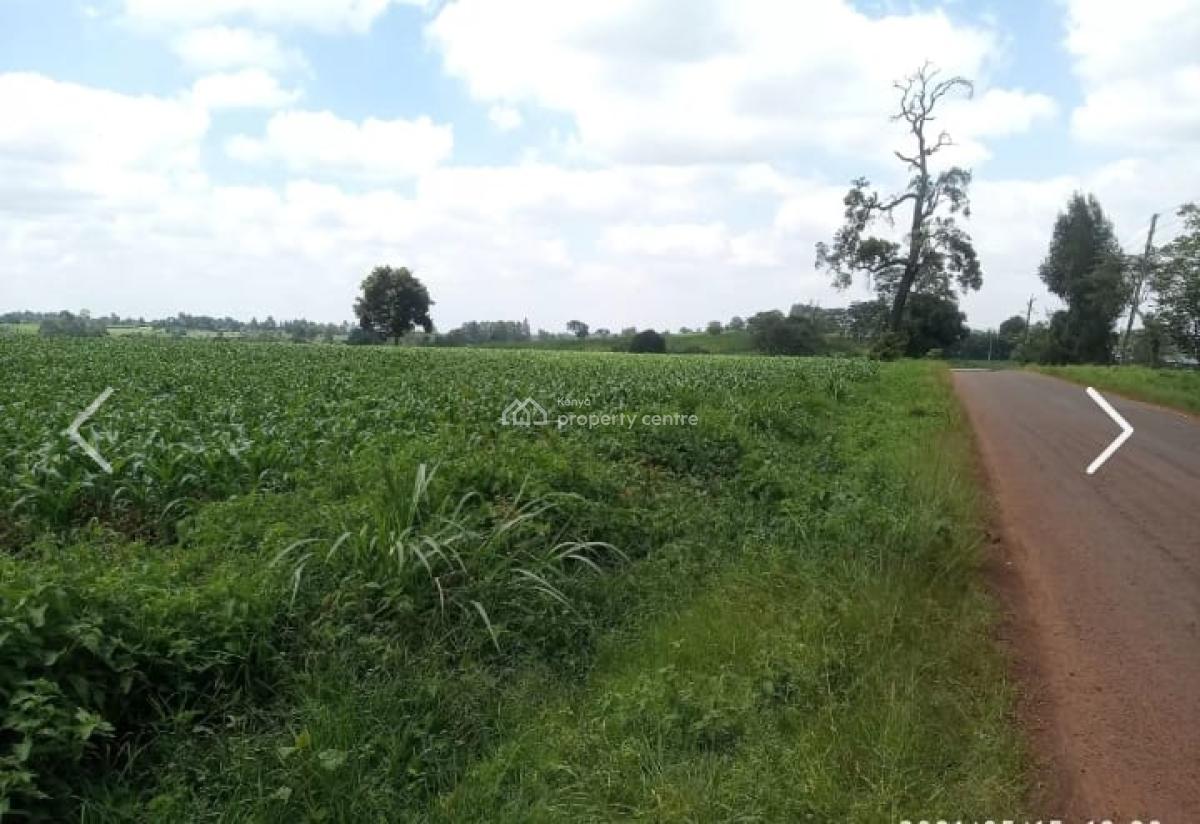 10 Acres in Nazareth, Tigoni, Nazareth Hospital Road, Tigoni, Kiambu, Mixed-use Land for Sale