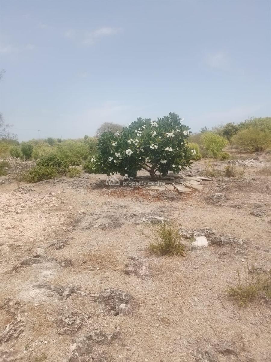 Beachfront Property  Malindi, Malindi, Malindi Town, Kilifi, Land for Sale