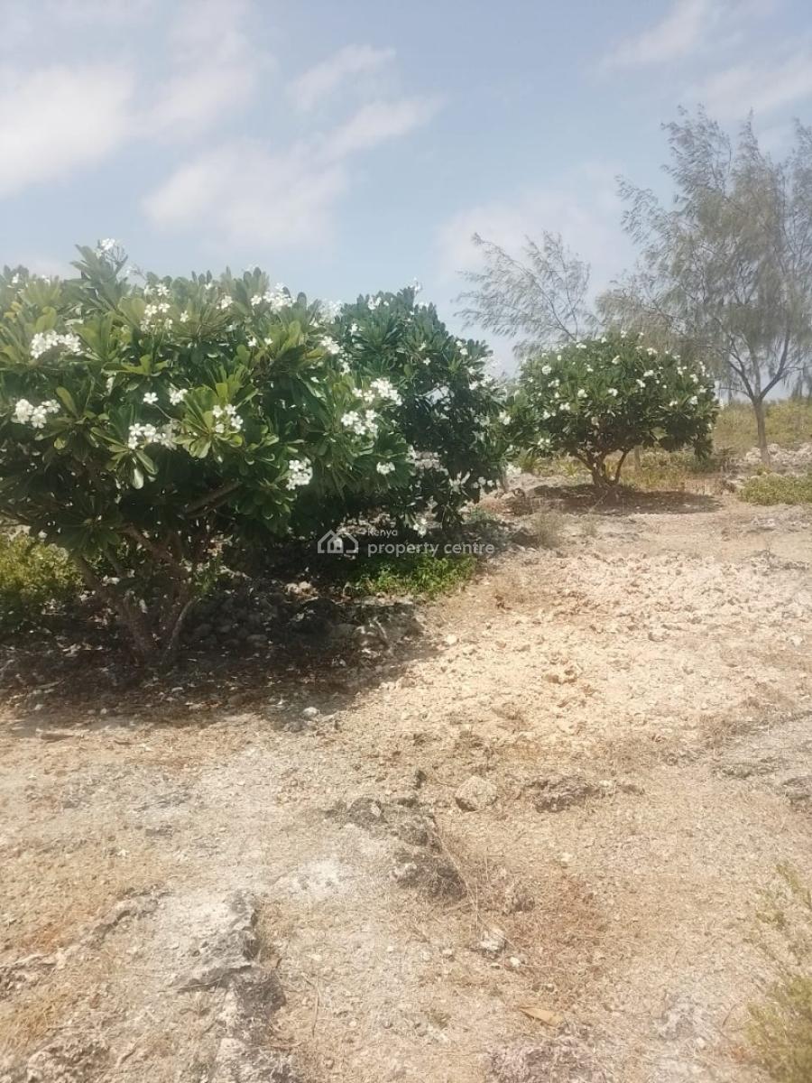 Beachfront Property  Malindi, Malindi, Malindi Town, Kilifi, Land for Sale