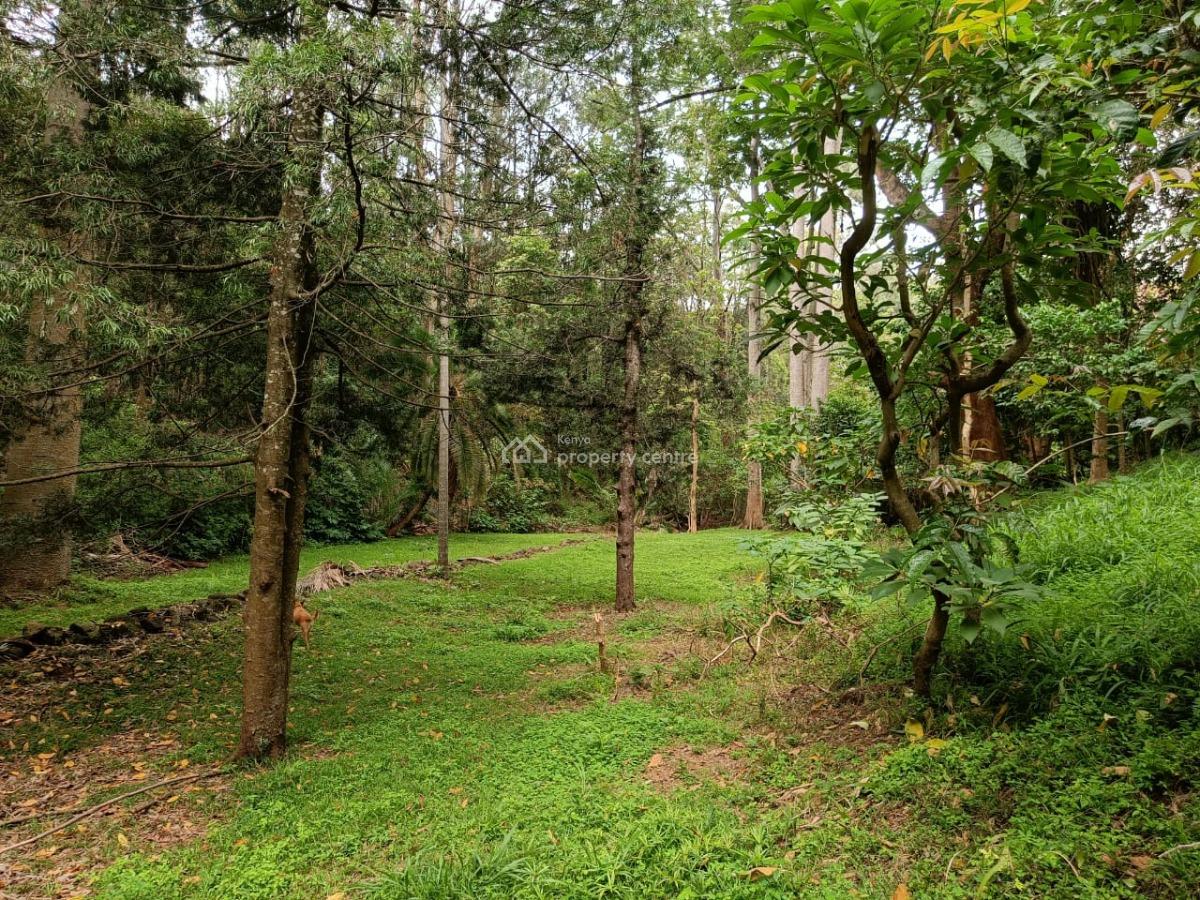 Prime Property, Muthaiga, Muthaiga, Nairobi, Land for Sale