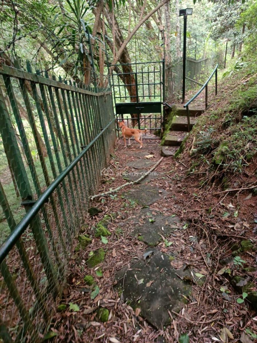 Prime Property, Muthaiga, Muthaiga, Nairobi, Land for Sale