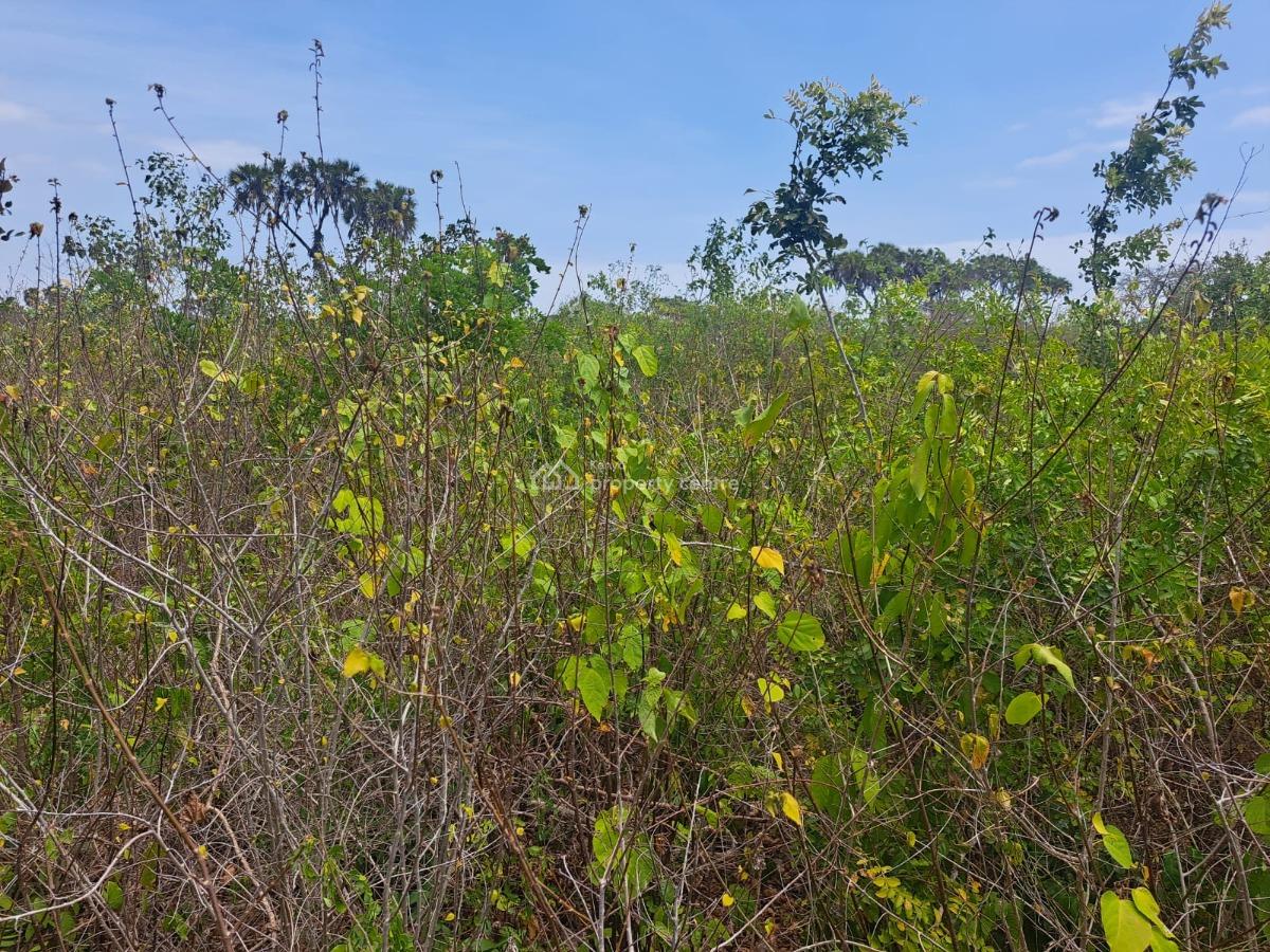 5 Acres Property in Galu Kinondo.  Asking Price Is Kshs. 12., Kwale Galu, Ukunda, Kwale, Mixed-use Land for Sale