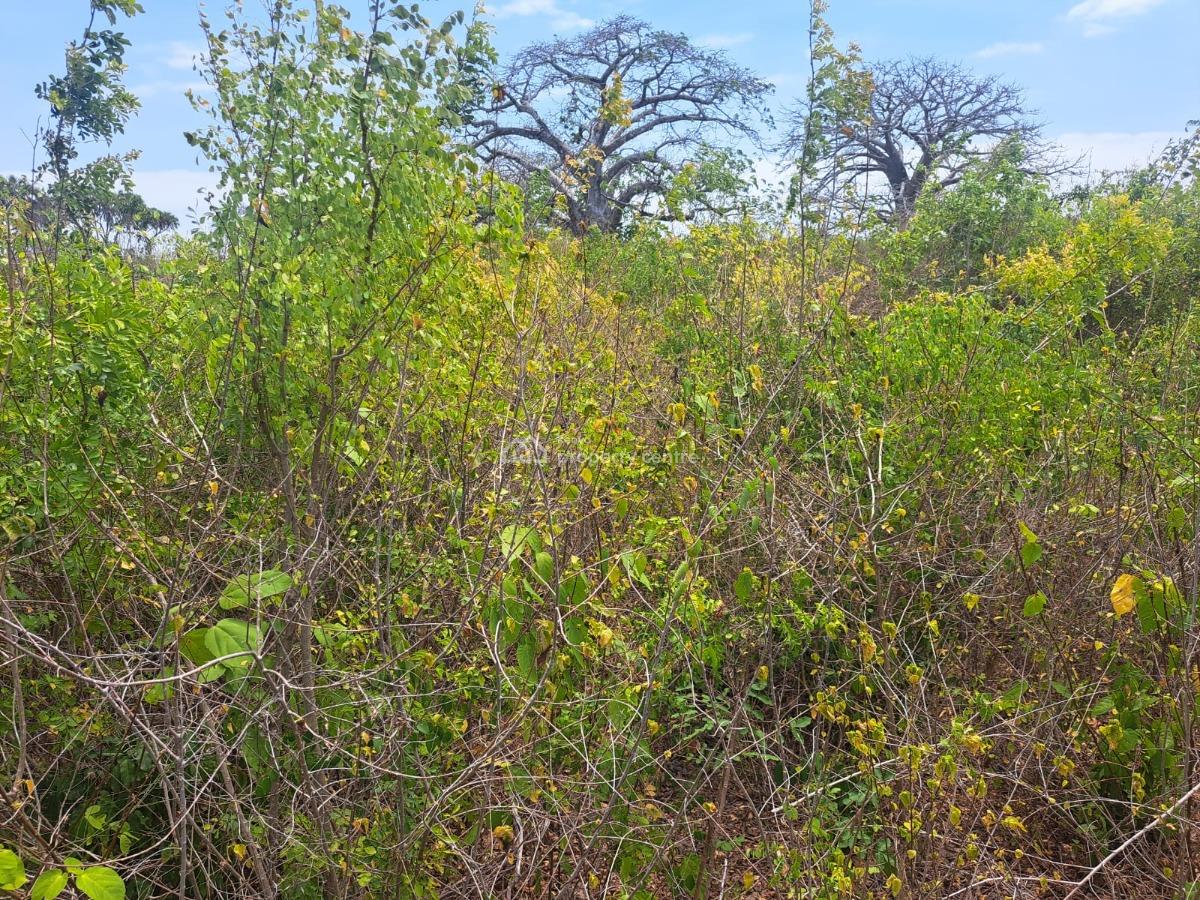 5 Acres Property in Galu Kinondo.  Asking Price Is Kshs. 12., Kwale Galu, Ukunda, Kwale, Mixed-use Land for Sale
