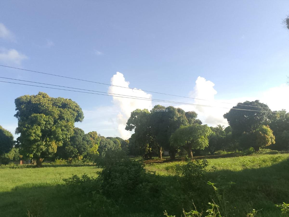 Prime 5.2-acre Freehold Land, Kijiwetanga, Malindi Town, Kilifi, Land for Sale