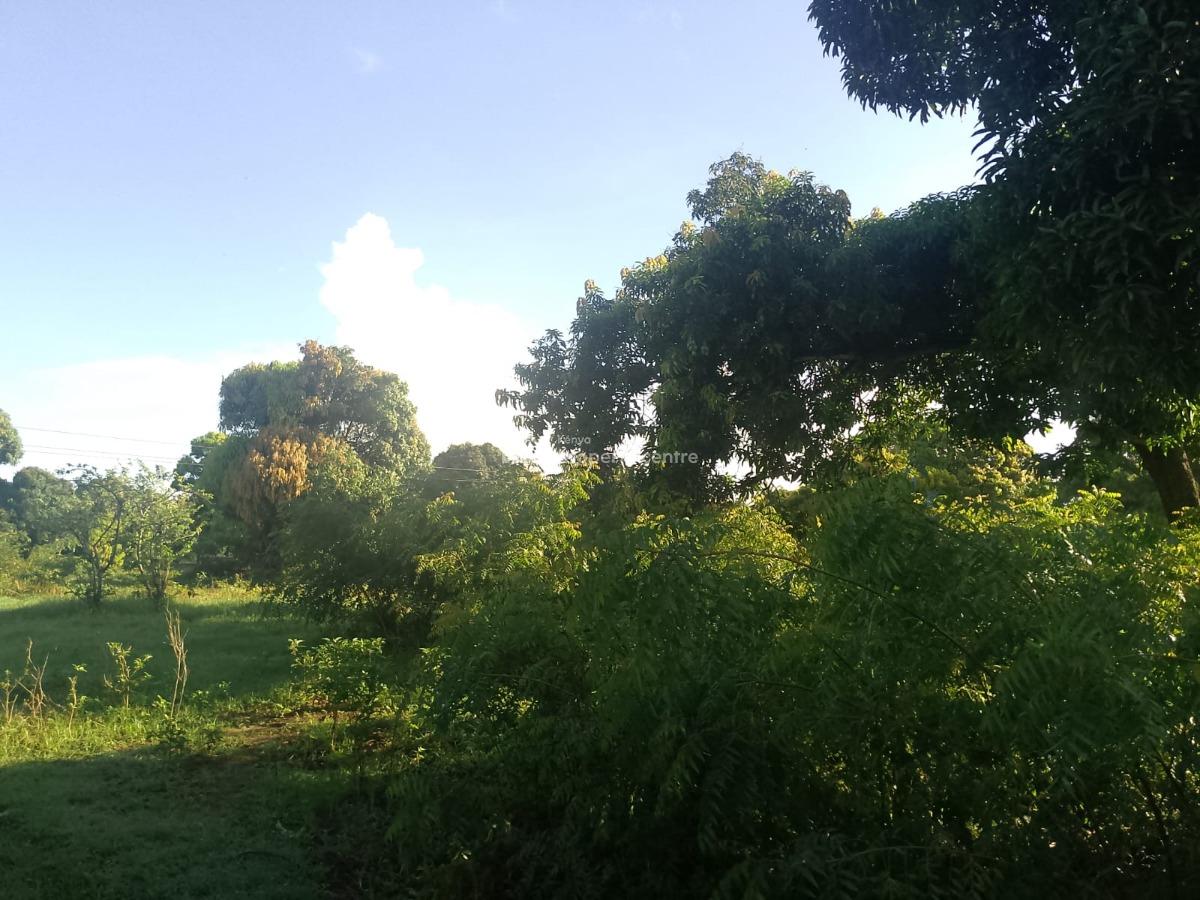 Prime 5.2-acre Freehold Land, Kijiwetanga, Malindi Town, Kilifi, Land for Sale
