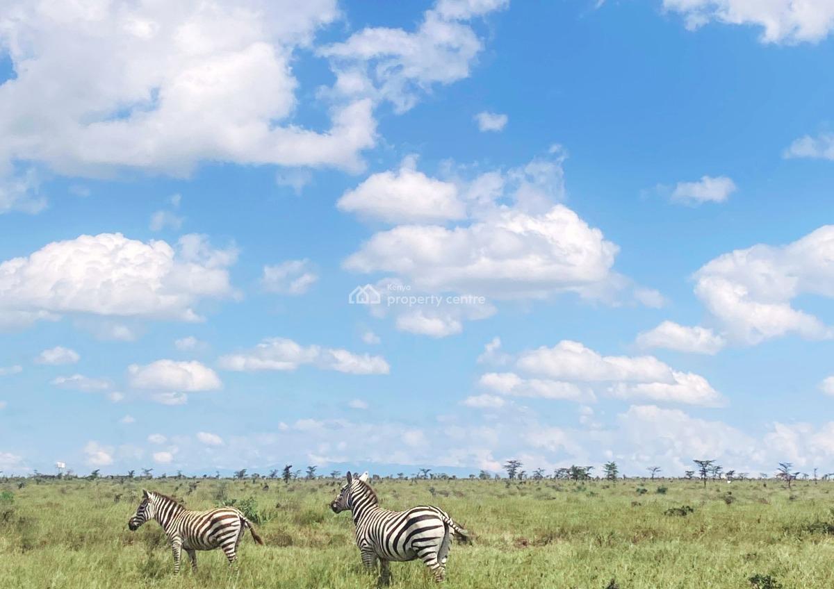 Prime Investment Plots Next to a Conservancy, Nanyuki Breeze 1, Nanyuki, Laikipia, Mixed-use Land for Sale