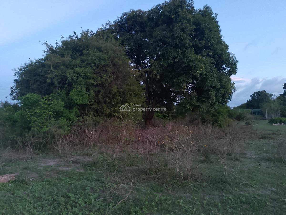 Prime 1-acre in Kakuyuni Malindi, Kakuyuni, Malindi Town, Kilifi, Mixed-use Land for Sale