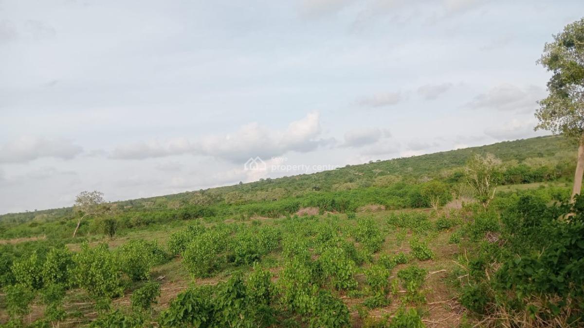 Prime 4.8 Acres of Fertile Land in Marafa, Malindi, Marafa, Marafa, Kilifi, Land for Sale