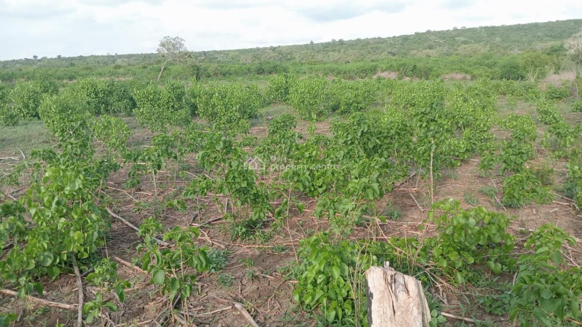 Prime 4.8 Acres of Fertile Land in Marafa, Malindi, Marafa, Marafa, Kilifi, Land for Sale