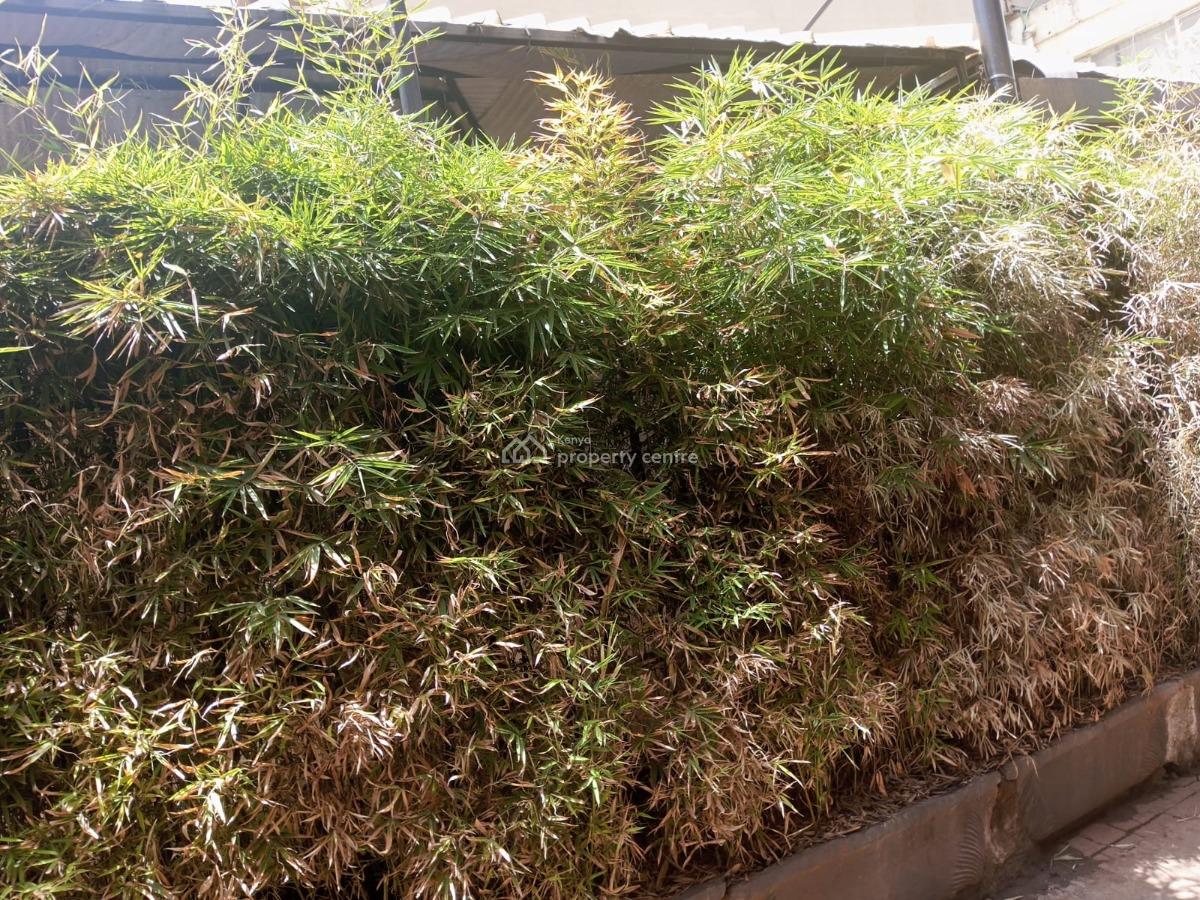 Prime 0.5 Acre Commercial Space  Ideal for Restaurant, Bar & Grill, Karen Shopping Center, Karen, Nairobi, Restaurant / Bar for Rent