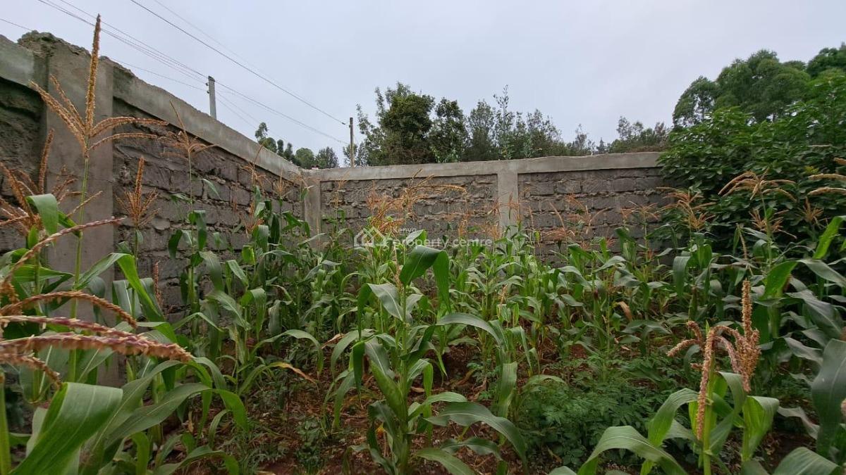 Grand 7-bedroom All-en-suite Residence, Ngong, Embakasi, Nairobi, House for Sale