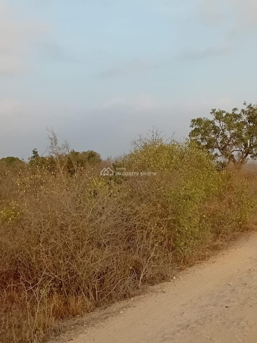 Prime 48-acre Fertile Land -- Road Frontage, Marafa, Malindi Town, Kilifi, Mixed-use Land for Sale