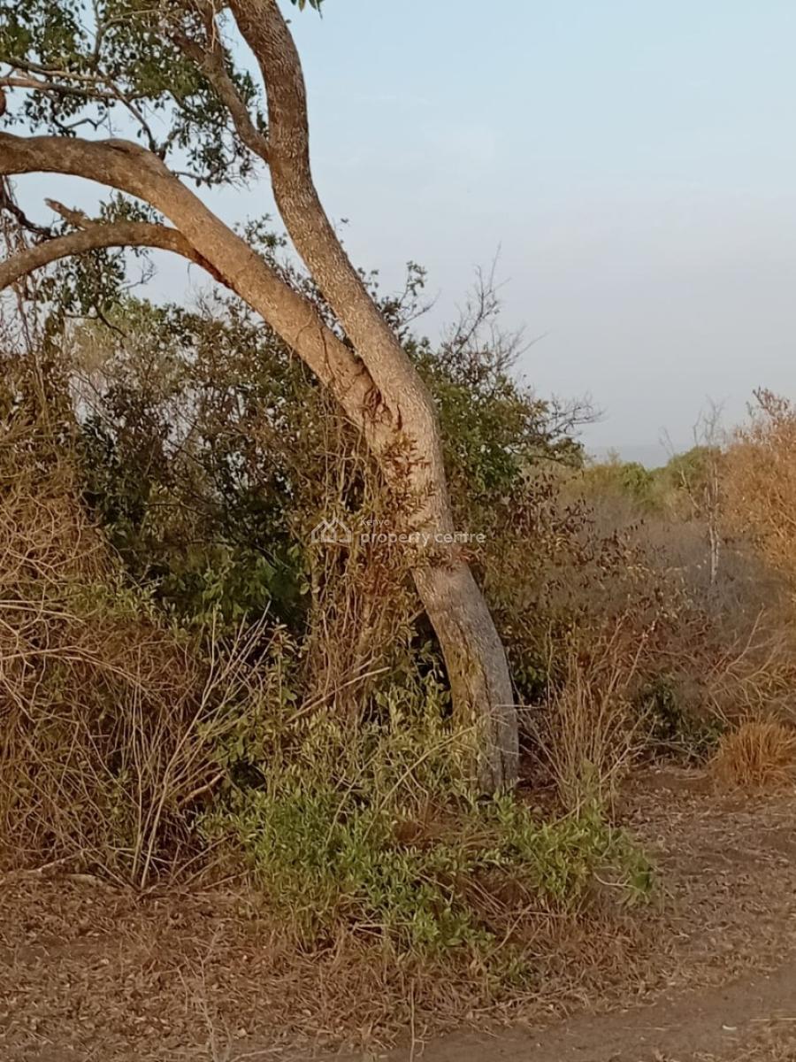 Prime 48-acre Fertile Land -- Road Frontage, Marafa, Malindi Town, Kilifi, Mixed-use Land for Sale