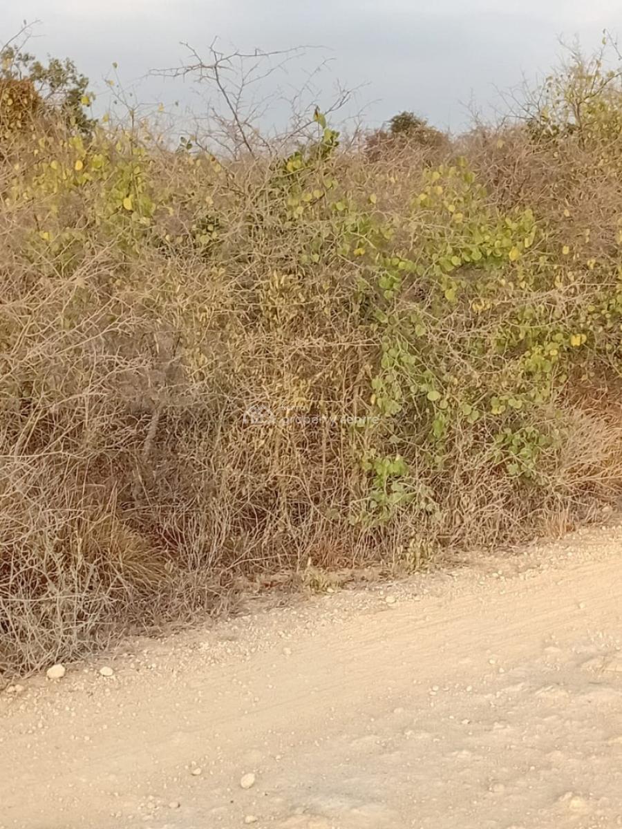 Prime 48-acre Fertile Land -- Road Frontage, Marafa, Malindi Town, Kilifi, Mixed-use Land for Sale