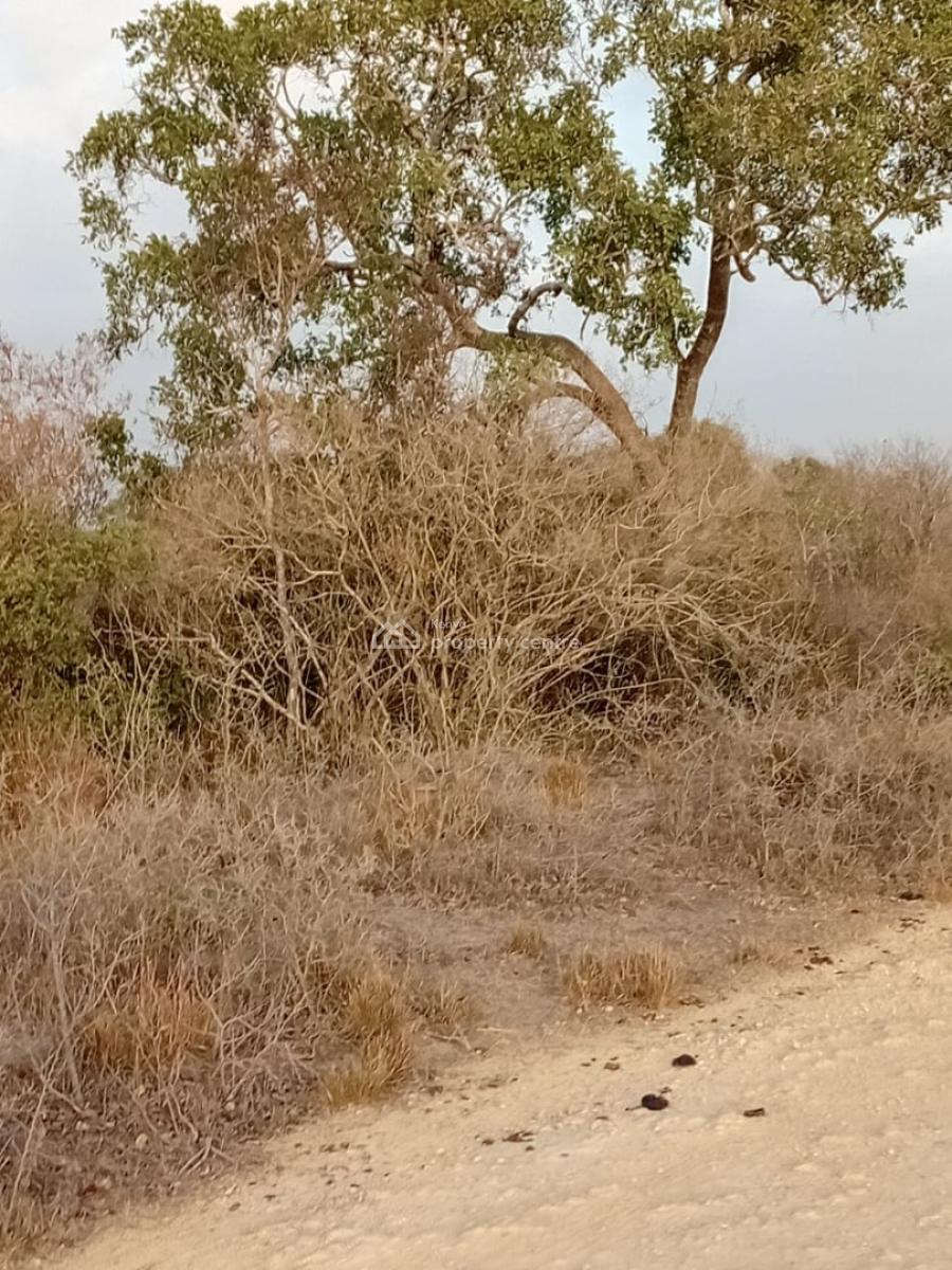 Prime 48-acre Fertile Land -- Road Frontage, Marafa, Malindi Town, Kilifi, Mixed-use Land for Sale