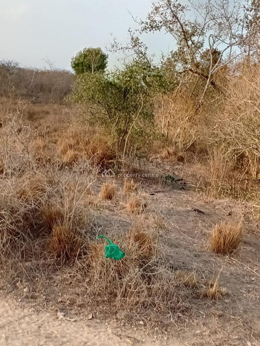 Prime 48-acre Fertile Land -- Road Frontage, Marafa, Malindi Town, Kilifi, Mixed-use Land for Sale