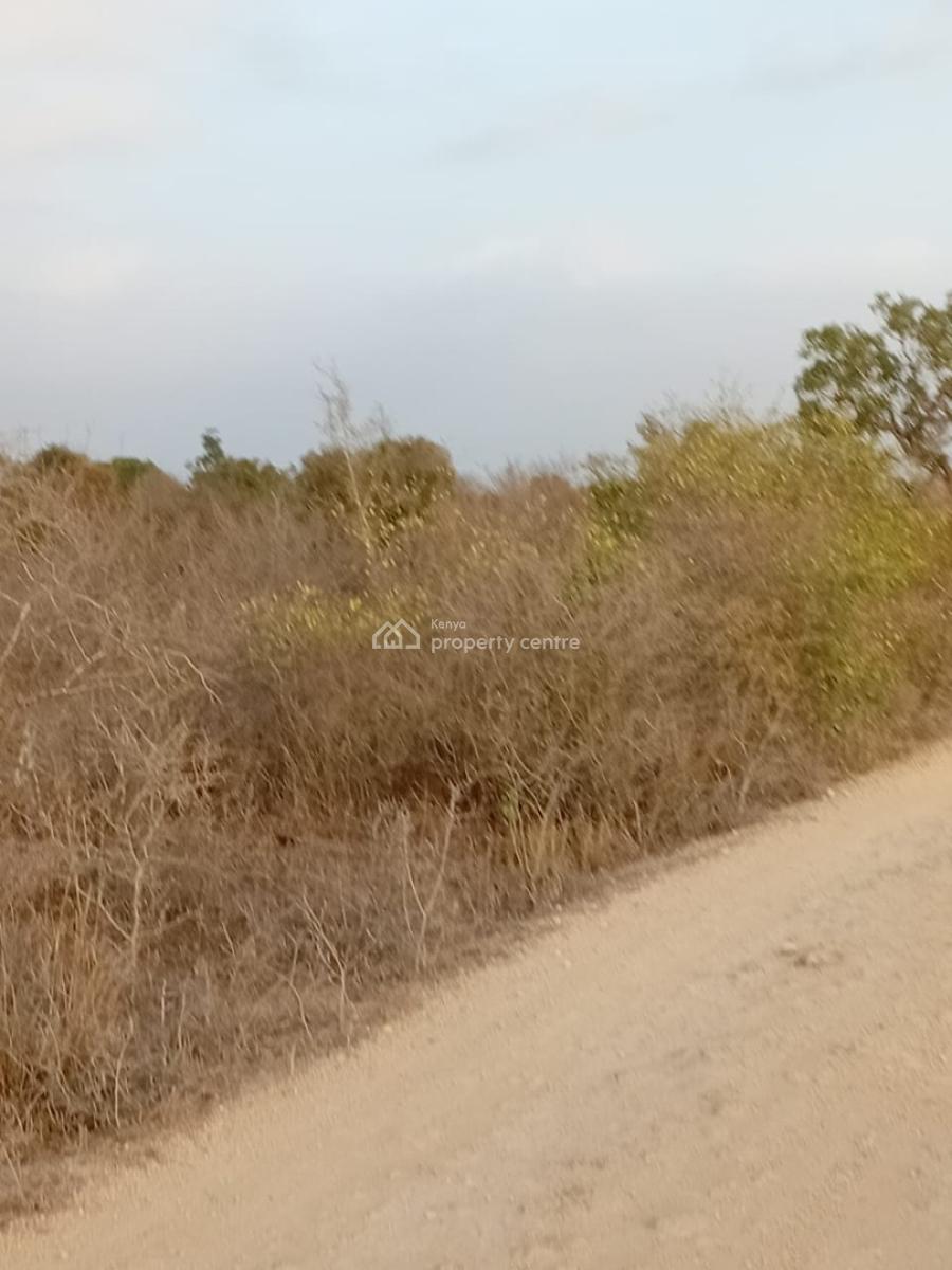 Prime 48-acre Fertile Land -- Road Frontage, Marafa, Malindi Town, Kilifi, Mixed-use Land for Sale