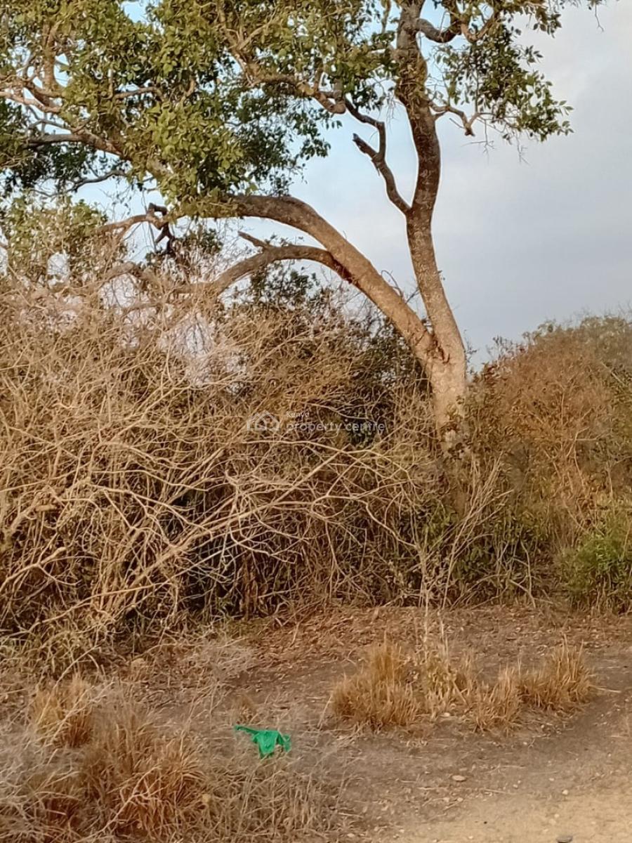 Prime 48-acre Fertile Land -- Road Frontage, Marafa, Malindi Town, Kilifi, Mixed-use Land for Sale